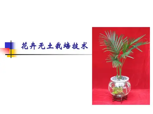 5-花卉无土栽培技术总结
