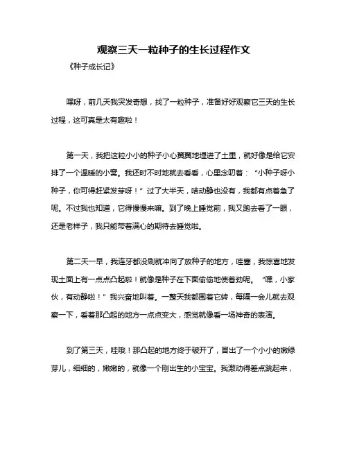 观察三天一粒种子的生长过程作文