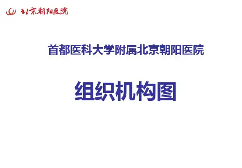 首都医科大学附属北京朝阳医院组织机构图
