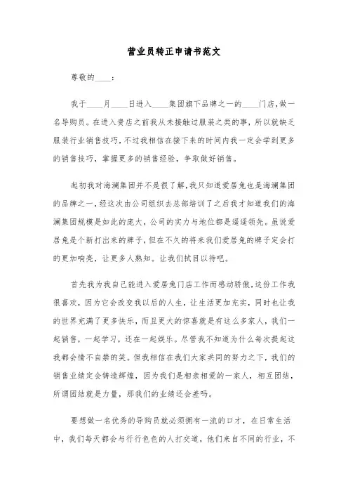 营业员转正申请书范文（九篇）