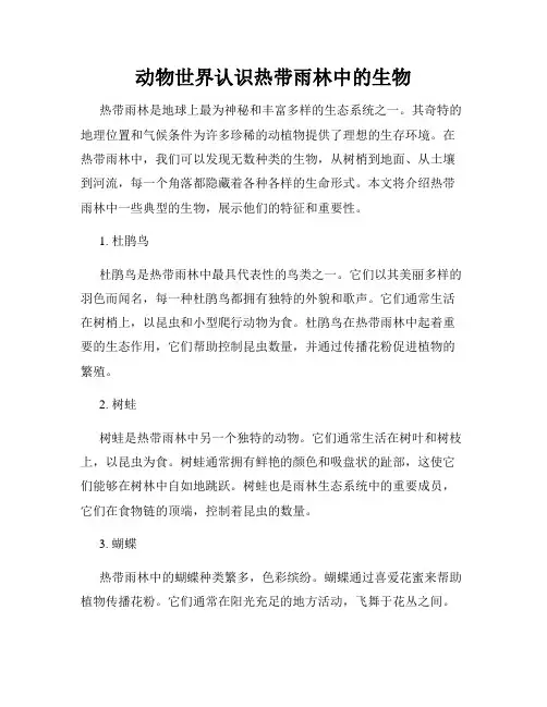 动物世界认识热带雨林中的生物
