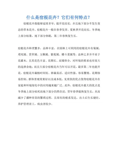 什么是宿根花卉？它们有何特点？