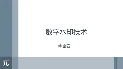 数字水印技术