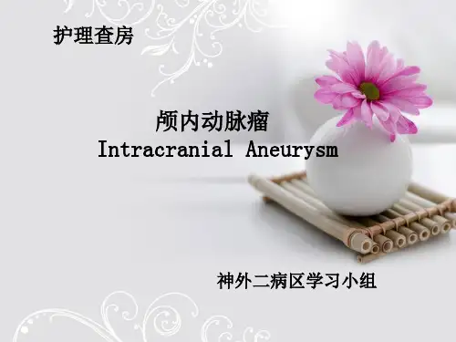 颅内动脉瘤护理查房