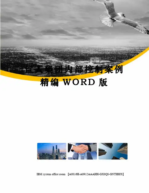 巨人集团内部控制案例精编WORD版