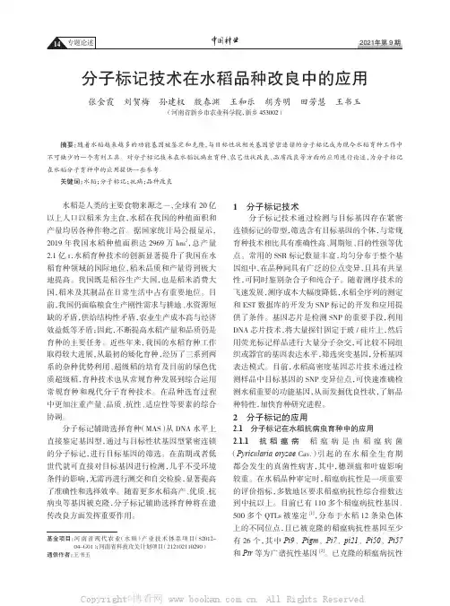 分子标记技术在水稻品种改良中的应用