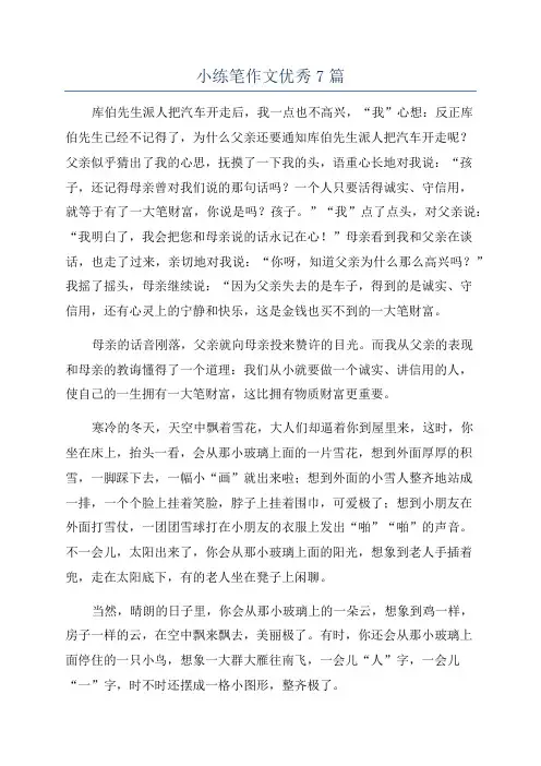 小练笔作文优秀7篇