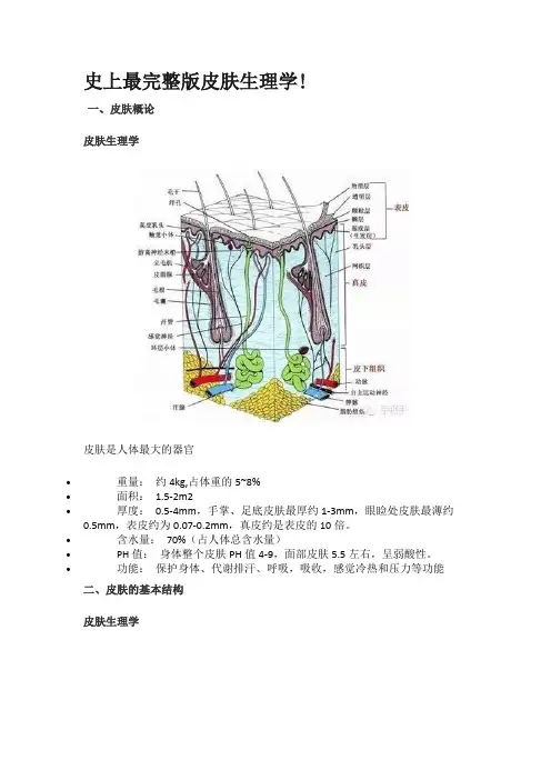史上最完整版皮肤生理学