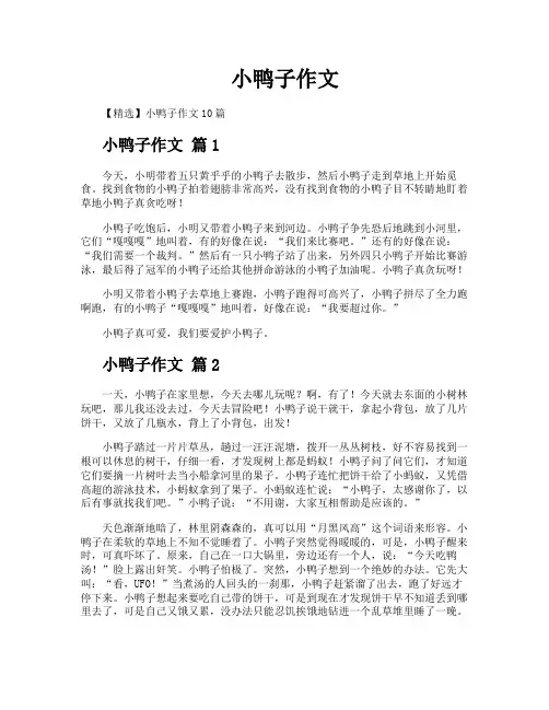 小鸭子作文