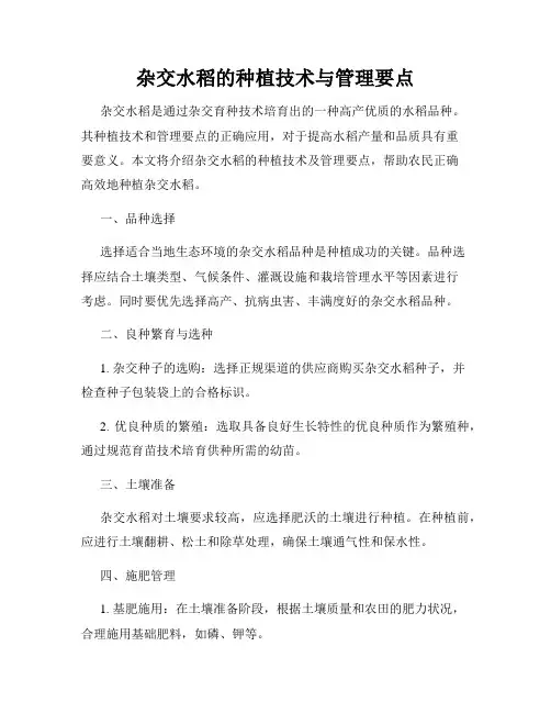 杂交水稻的种植技术与管理要点