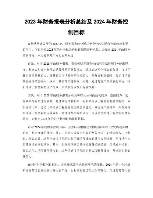 2023年财务报表分析总结及2024年财务控制目标