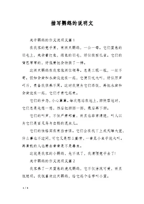 描写鹦鹉的说明文