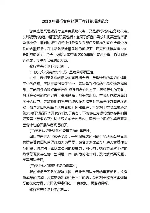 2020年银行客户经理工作计划精选范文