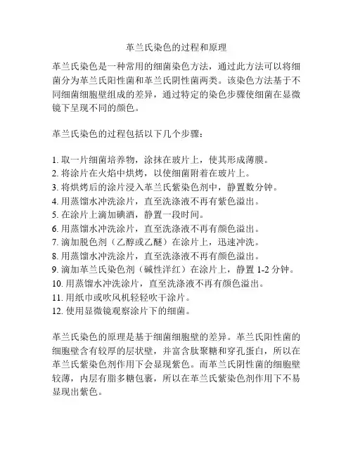 革兰氏染色的过程和原理