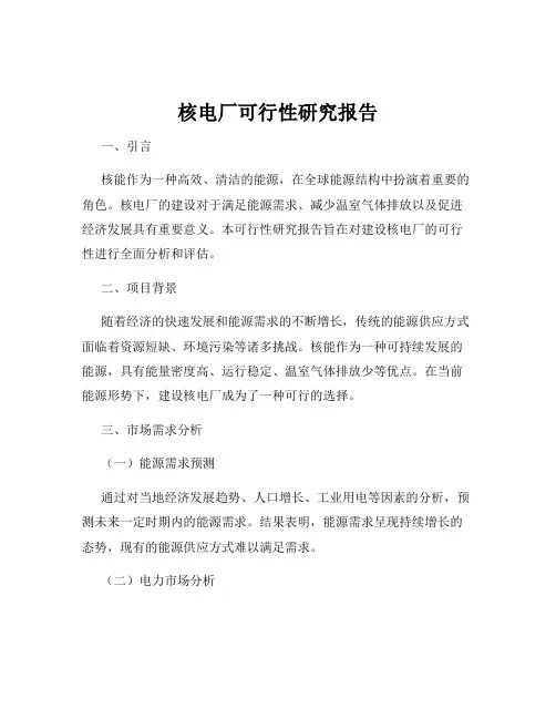 核电厂可行性研究报告