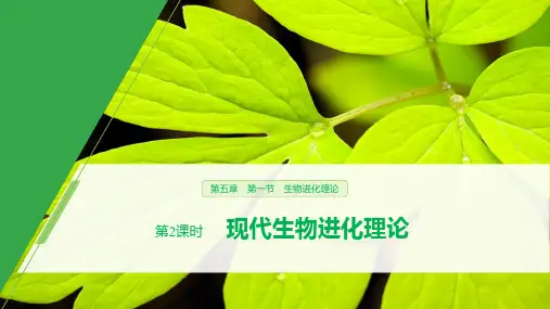 人教版 必修2 课件(新课标)：5.1.2 现代生物进化理论的主要内容