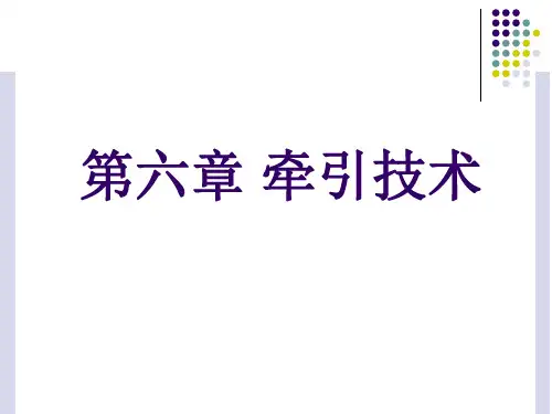 《运动治疗技术》第六章 牵引技术(概述)课件