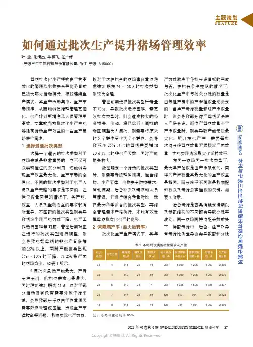 如何通过批次生产提升猪场管理效率