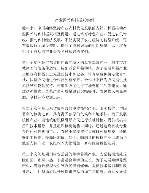 产业振兴乡村振兴实例