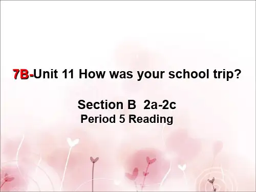 人教版七年级下-unit11-Section-B-2a-2c-(共20张PPT)