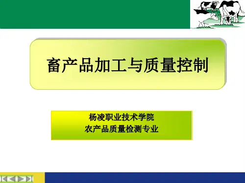 西式火腿制品加工技术