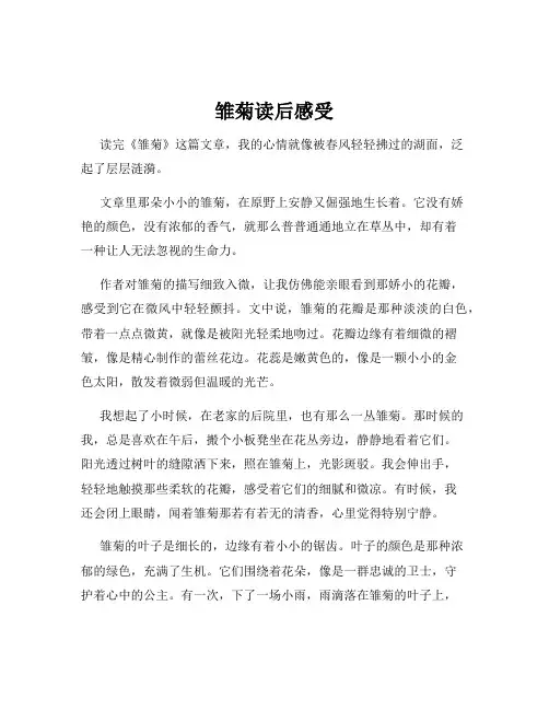 雏菊读后感受