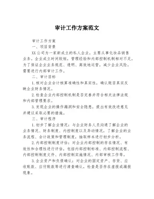 审计工作方案范文