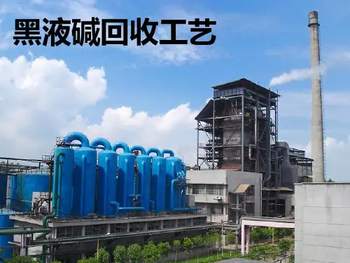 碱回收工艺ppt