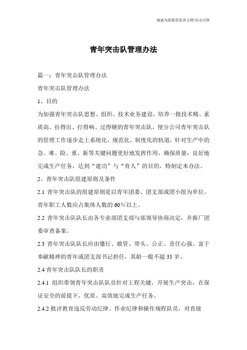 青年突击队管理办法