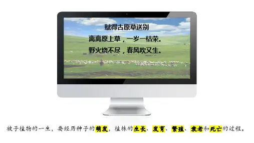 第一节种子的萌发课件人教版生物七年级上册