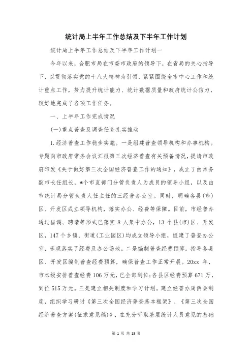 统计局上半年工作总结及下半年工作计划
