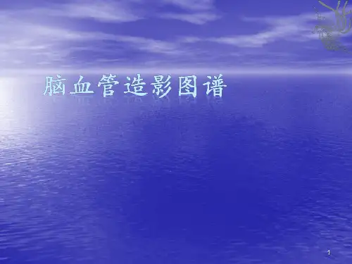 脑血管造影图谱ppt课件
