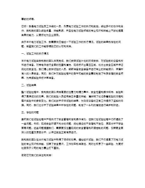 电力试验述职报告