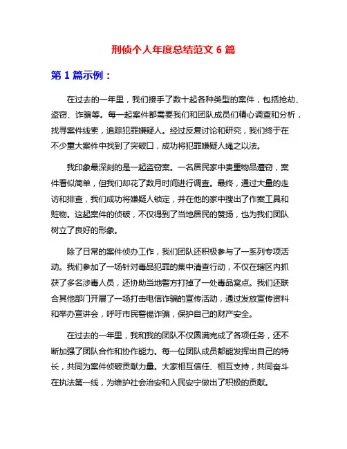 刑侦个人年度总结范文6篇