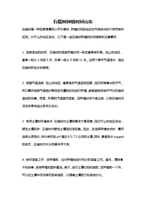石榴树种植时间山东