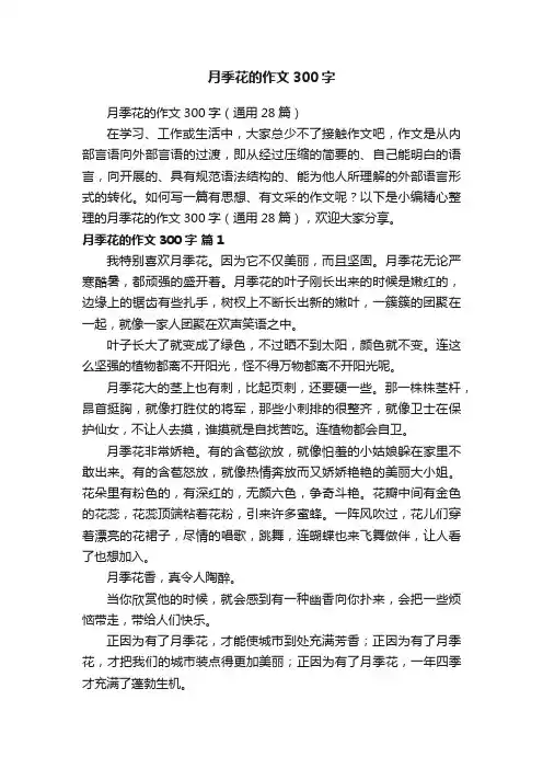 月季花的作文300字（通用28篇）