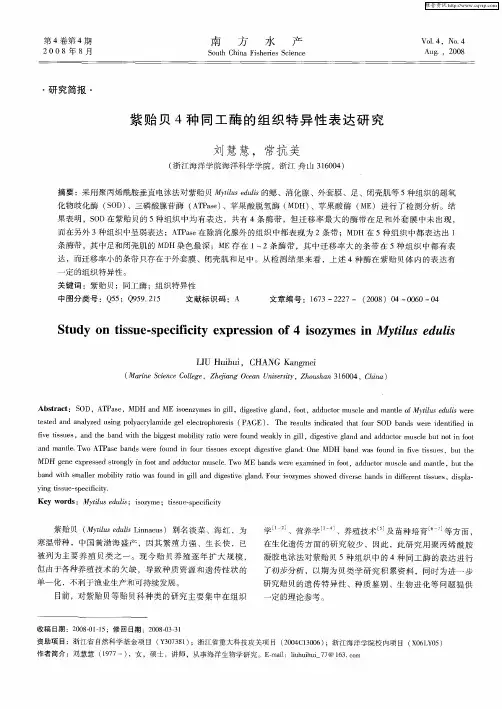 紫贻贝4种同工酶的组织特异性表达研究