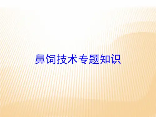 鼻饲技术专题知识培训课件