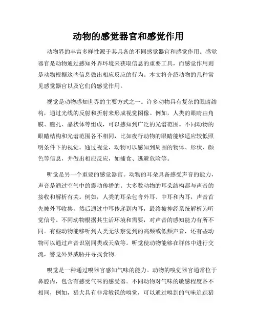 动物的感觉器官和感觉作用