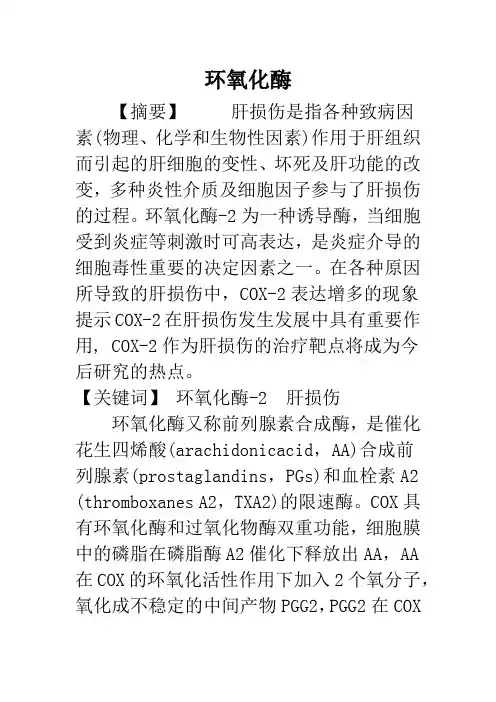 环氧化酶