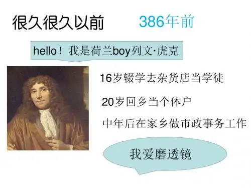 京改版七年级上册第一章第二节认识我们身边的其他生物课件 (共33张PPT)