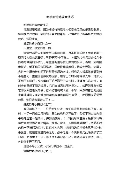 新手抓竹鸡放音技巧