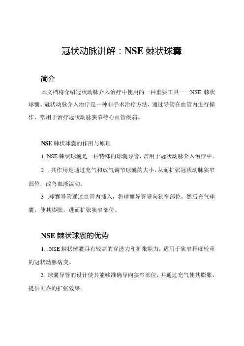 冠状动脉讲解：NSE棘状球囊