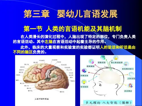 婴幼儿言语发展(课堂PPT)