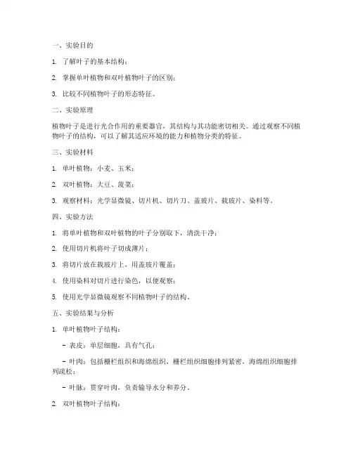 比较叶子实验报告