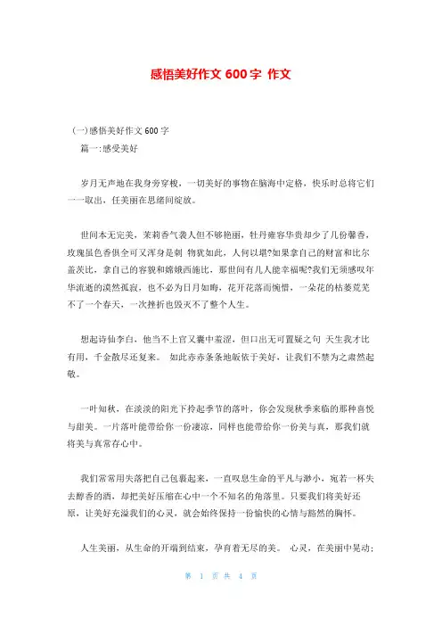 感悟美好作文600字 作文