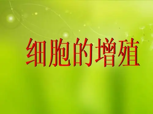 高中生物《第六章 第一节 细胞的增殖》课件2 新人教版必修1