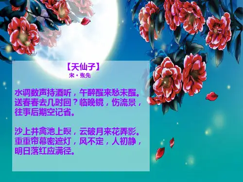 张先【天仙子】艺术赏析