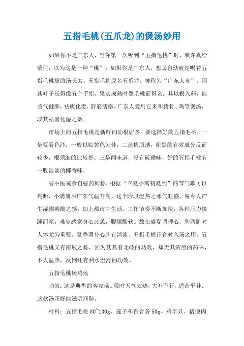 五指毛桃(五爪龙)的煲汤妙用