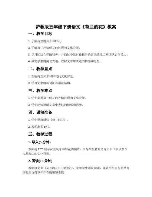 沪教版五年级下册语文《荷兰的花》教案